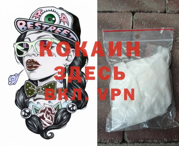 крисы Алзамай
