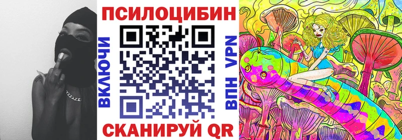OMG ССЫЛКА  Безенчук  Псилоцибиновые грибы прущие грибы 